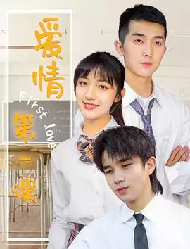 电影《爱情第一课》剧情介绍