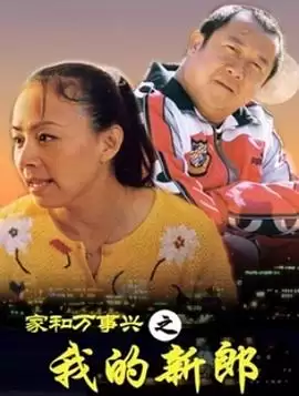 电视剧《家和万事兴之我的新郎》剧情介绍