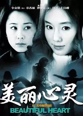 电视剧《美丽心灵2004》剧情介绍