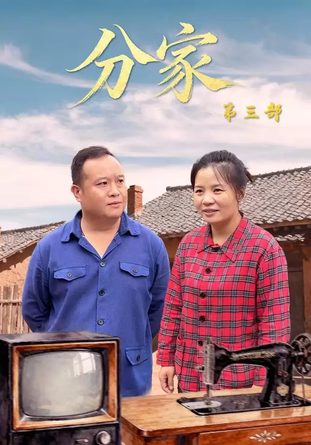 短剧《分家第三部》剧情介绍
