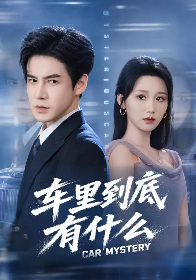 短剧 车里到底有什么 剧情介绍