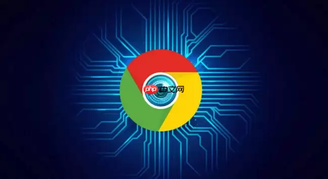 Google Chrome 官方官网访问入口导航