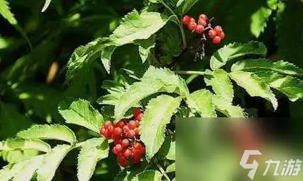 游戏中节省草药费用的方法 教你怎么在游戏中省钱购买草药