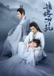 电视剧错嫁世子妃剧情介绍