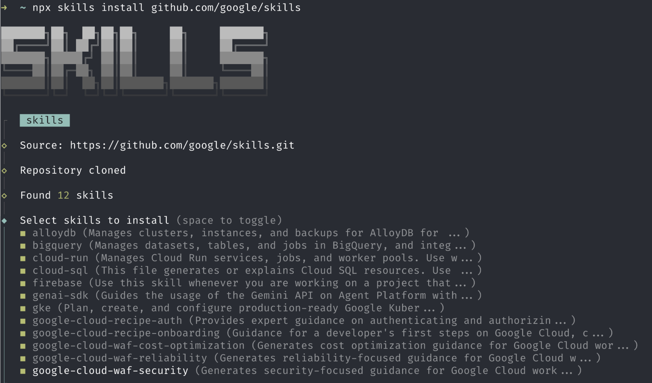 Google Cloud 官方博客展示 Skills CLI 读取仓库并列出可选 skill 的终端界面
