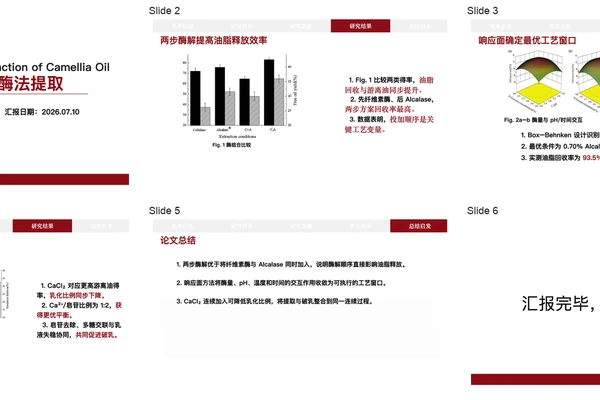 Literature Report PPT Builder 仓库截图展示界面或说明内容