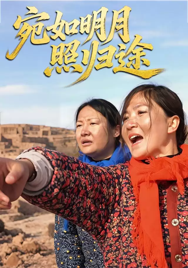 短剧《宛如明月照归途》剧情简介