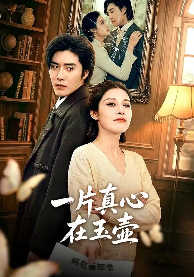短剧 一片真心在玉壶 剧情介绍