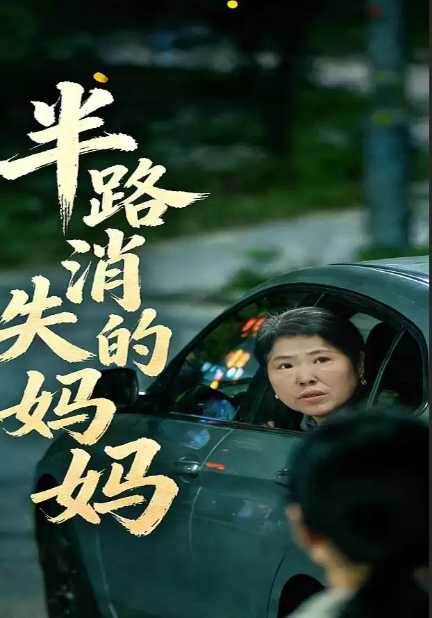 短剧《半路消失的妈妈》剧情介绍