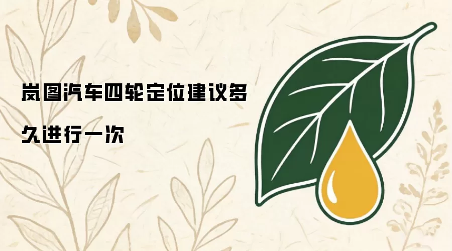岚图汽车四轮定位建议多长时间做一次