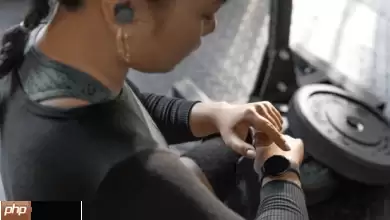 Fitbit AI健康教练进驻 iOS 抢占果粉市场！助分析健康数据