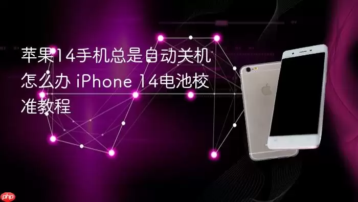 苹果14手机总是自动关机怎么办 iPhone 14电池校准教程