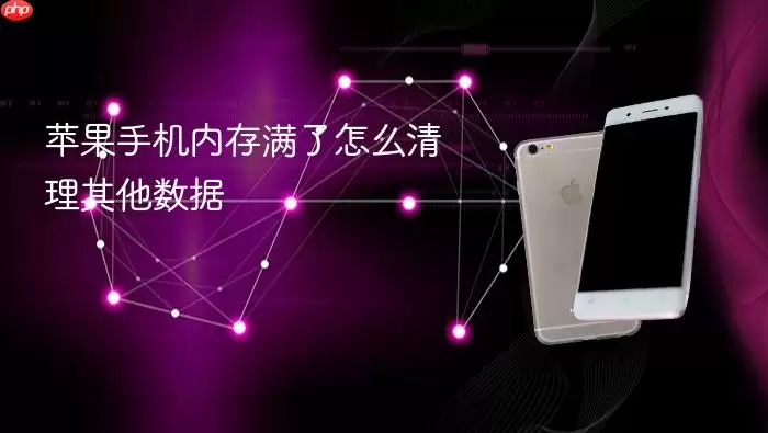 苹果手机内存满了如何清理其他数据