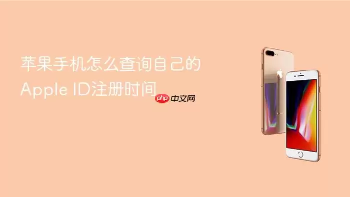 苹果手机怎样查询自己的Apple ID注册时间