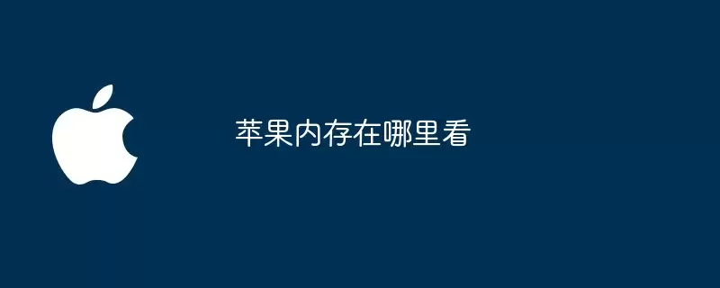 苹果内存在哪儿看