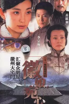 电视剧《徽娘宛心》剧情介绍