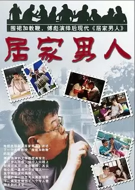 电视剧居家男人2004剧情介绍