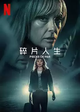 《碎片人生》电视剧剧情介绍