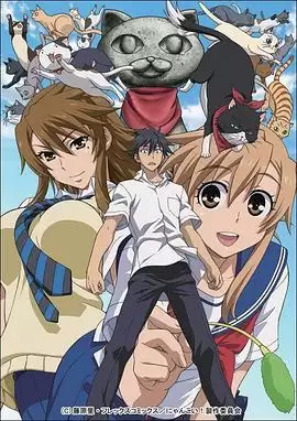 动漫《猫愿三角恋》剧情介绍
