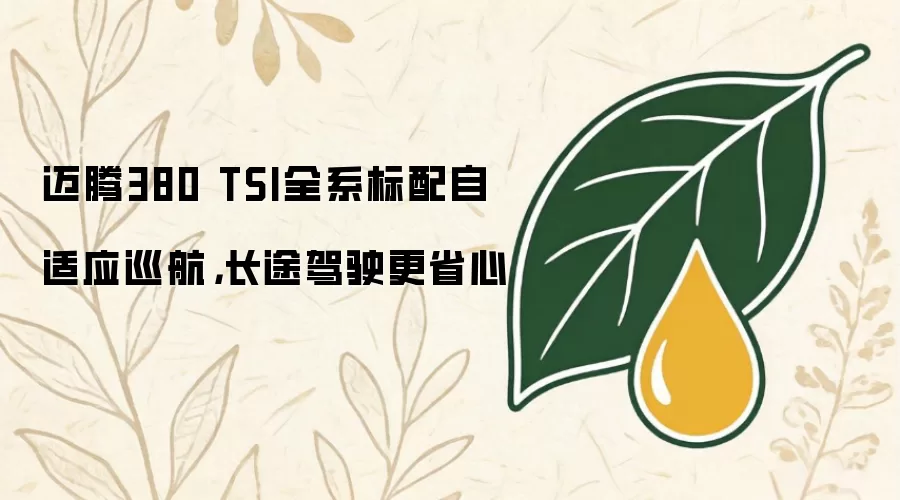 迈腾380 TSI全系标配自适应巡航,长途驾驶更省心
