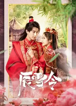 电视剧《辰雪令》剧情介绍