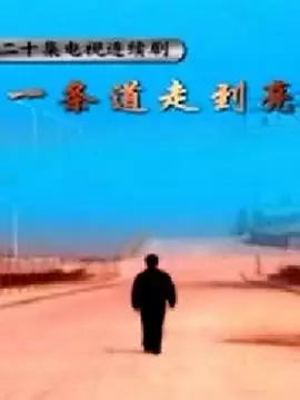 电视剧《一条道走到亮》剧情介绍
