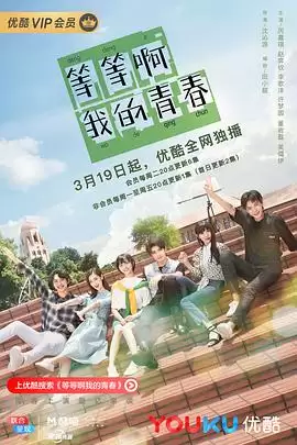 电视剧《等等啊我的青春2019》剧情介绍