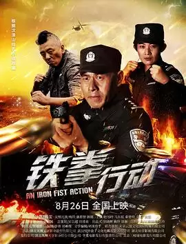 电影铁拳行动剧情介绍