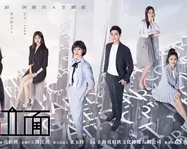 电视剧《第五立面》剧情简介