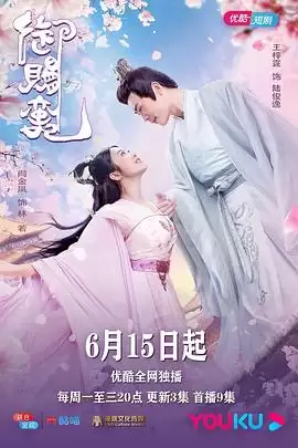 电视剧《御赐蛮妃》剧情简述