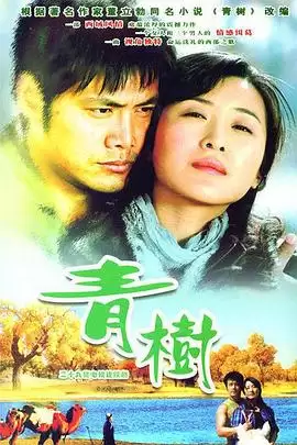 电视剧青树剧情介绍