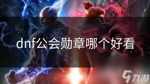 dnf公会勋章哪个更好看