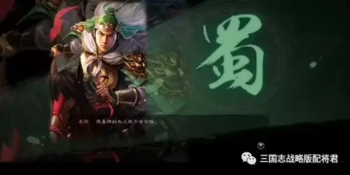 三国杀武将觉醒赵襄怎样搭配阵容