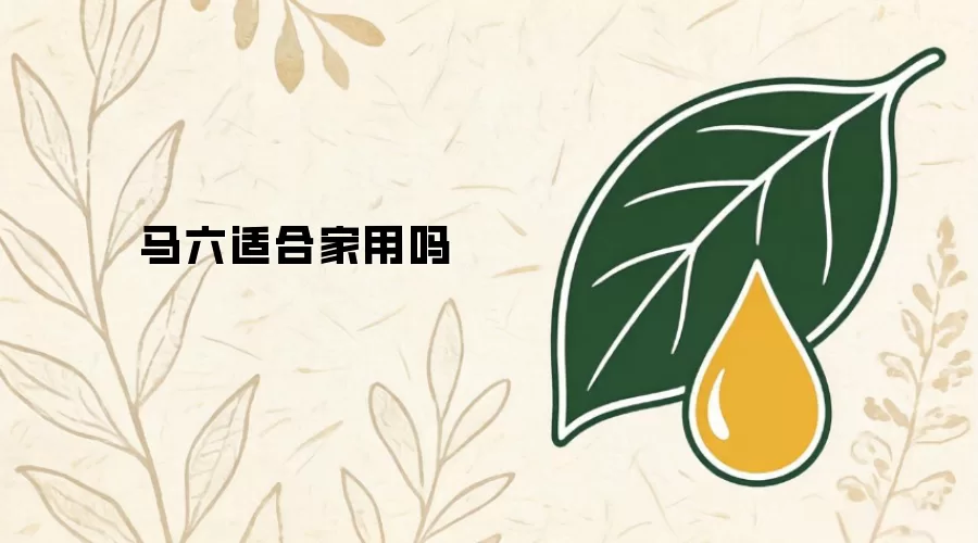 马六适合家用吗