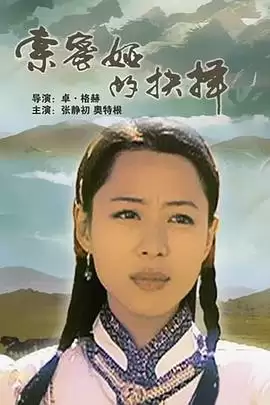 电影《索密娅的抉择》剧情介绍