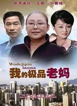 电视剧《我的极品老妈》剧情介绍