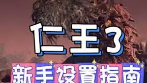 仁王3画面如何设置