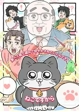 《转生成猫的大叔》动漫剧情介绍