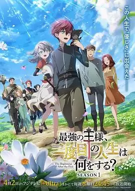 动漫《最强王者:第二人生要做什么》剧情介绍