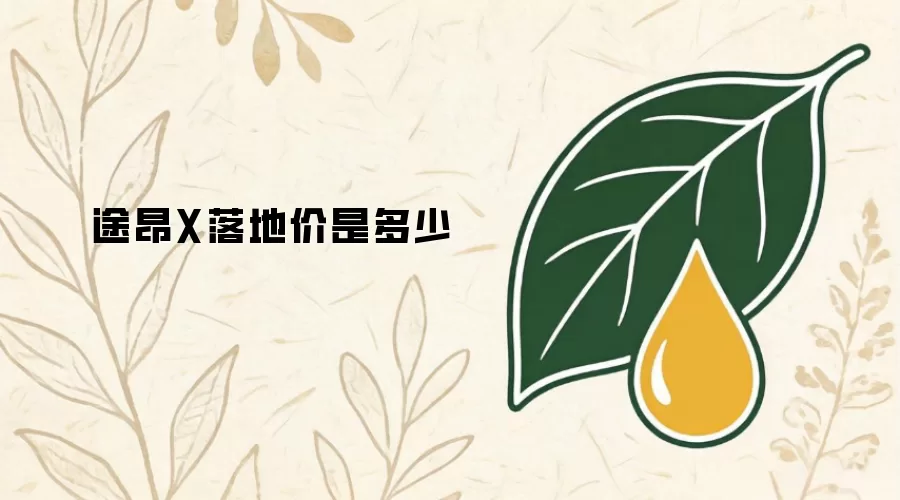 途昂X落地价是多少