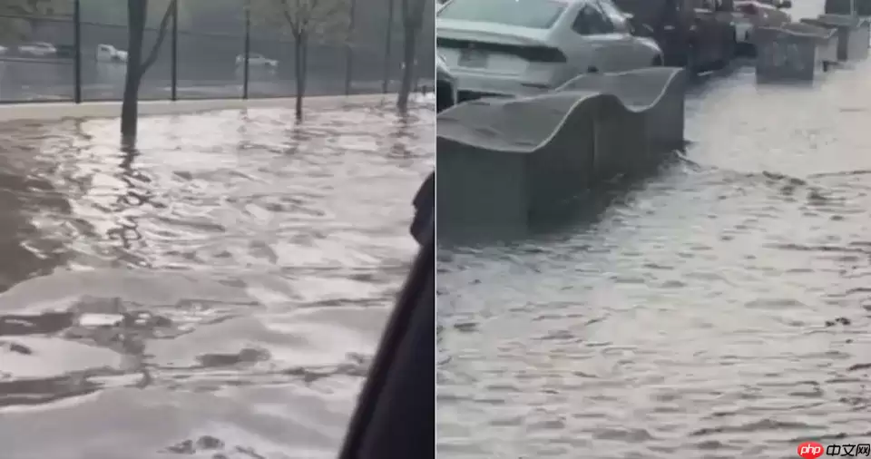 美国纽约再遭暴雨连袭 三大机场宣布地面停飞