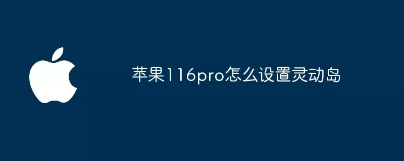 苹果116pro如何设置灵动岛