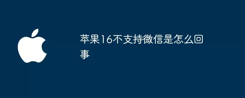 苹果16不支持微信是何原因
