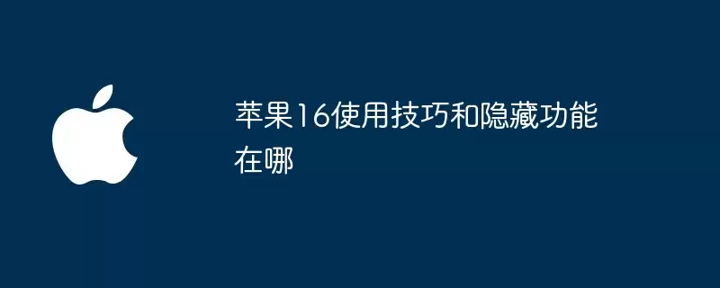 苹果16使用技巧与隐藏功能在哪