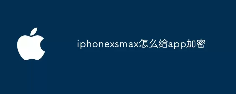 iphonexsmax如何给app加密