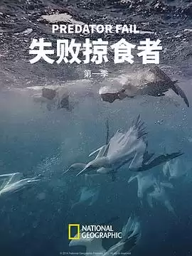 电视剧《失败掠食者》第一季剧情介绍