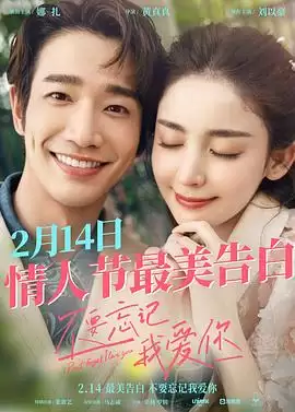 电影《不要忘记我爱你》剧情介绍