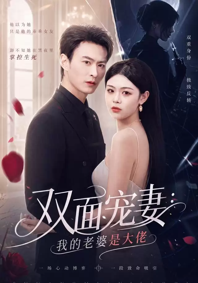 短剧《双面宠妻：我的老婆是大佬》剧情介绍