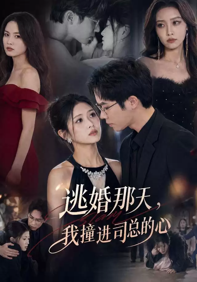 短剧《逃婚那天，我撞进司总的心》剧情介绍