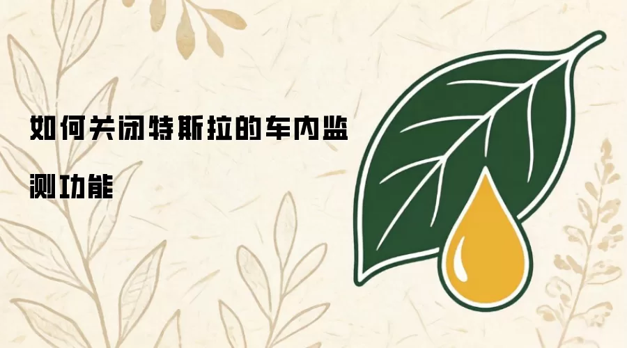 如何关闭特斯拉的车内监测功能